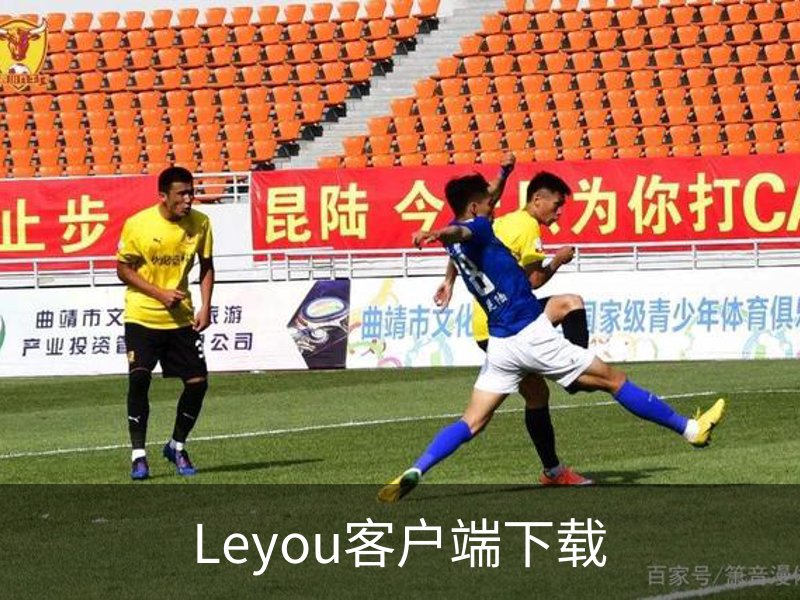 Leyou客户端下载简介